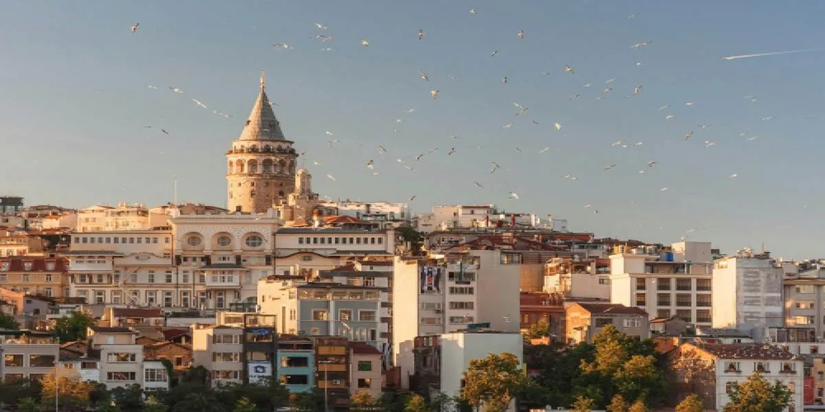 Types of work visas in Türkiye